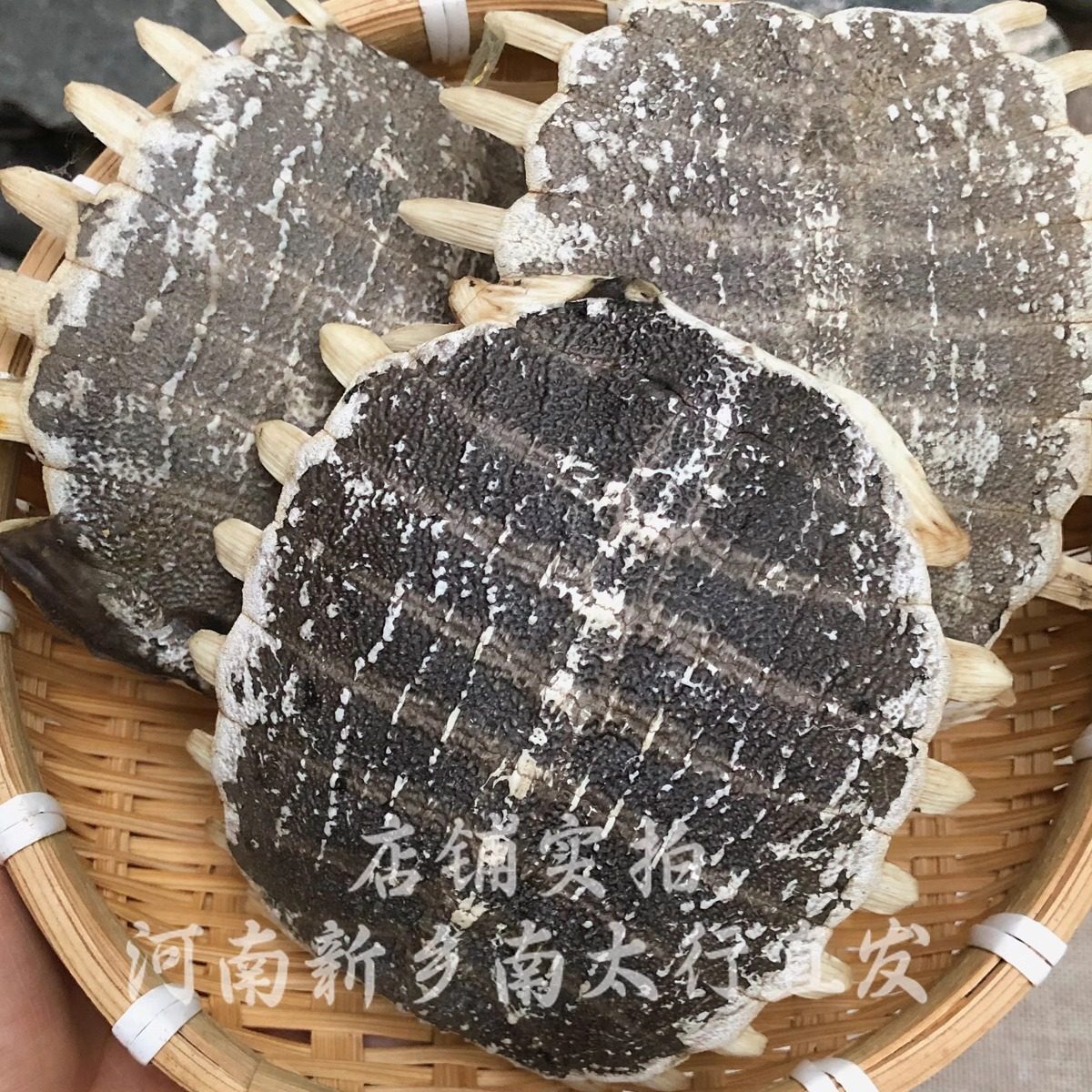 中药材生鳖甲鳖甲500克鳖甲壳甲鱼壳可打粉鳖盖子1个包邮艾炙原料,传统滋补营养品,其他药食同源食品,淘宝优惠券,粉丝福利购,淘宝优惠卷