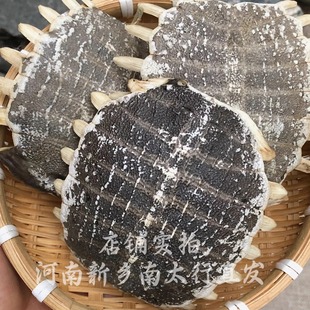 中药材生鳖甲鳖甲500克鳖甲壳甲鱼壳可打粉鳖盖子1个包邮艾炙原料