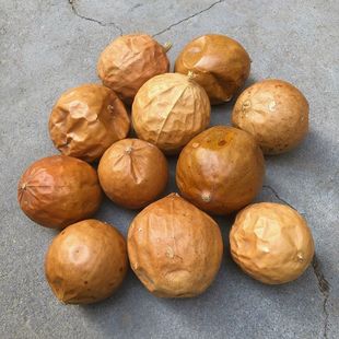 野生瓜蒌500g 全瓜蒌中药材栝蒌干瓜蒌实瓜蒌丝整个大瓜蒌籽仁球