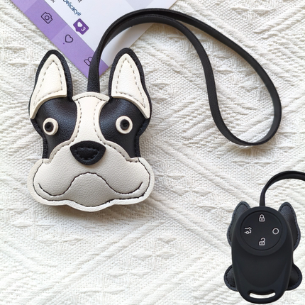 适用于埃安ut钥匙套yplus广汽埃安rt霸王龙v魅580埃安y包法斗狗