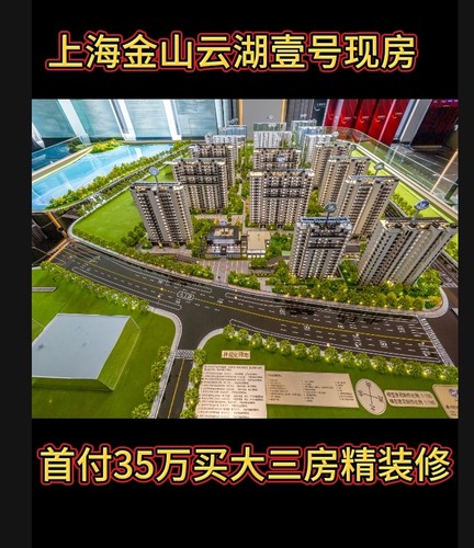 上海金山云湖壹号法拍房新房子现房学区房南北通透地铁口精装修