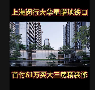上海闵行浦江大华星曜新房子学区房南北通透地铁口法拍房精装修