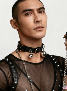 保密发货当天发出项圈女小狗