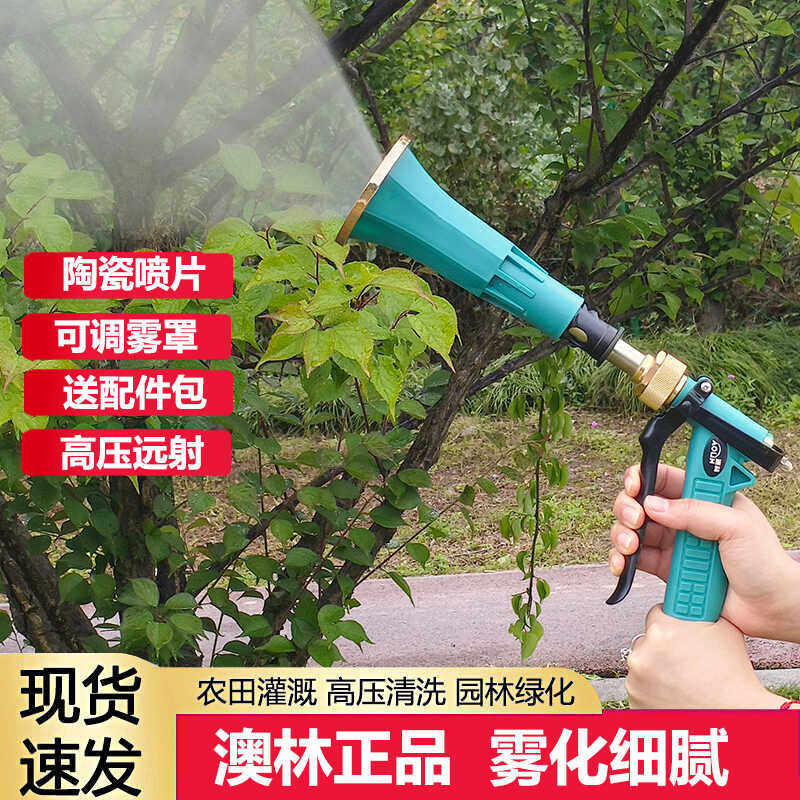 澳林打药喷枪打药机高雾化打农药高压打药专用打药枪农用果园,鲜花速递/花卉仿真/绿植园艺,水枪,淘宝优惠券,粉丝福利购,淘宝优惠卷
