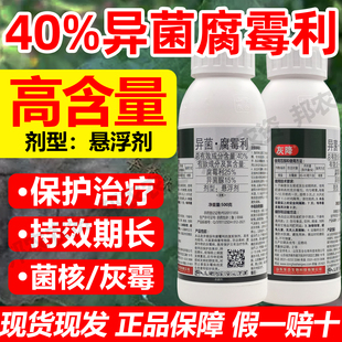 异菌腐霉利杀菌剂异菌脲防治草莓番茄葡萄果树灰霉病菌核病杀菌药