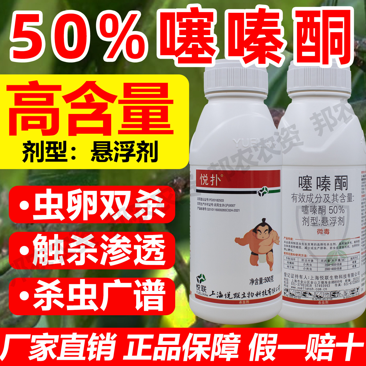 正品大厂50%噻嗪酮杀虫剂柑橘树蚧壳虫柿子树介壳虫专用杀虫剂药