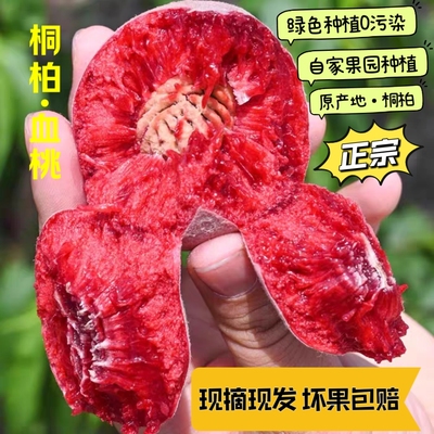南阳桐柏朱砂红硬吃脆甜孕妇水果