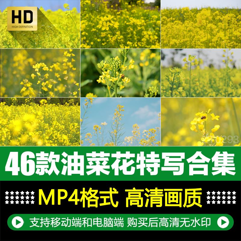 春天大自然唯美黄色花海油菜花田园风景特写实拍短片视频制作素材