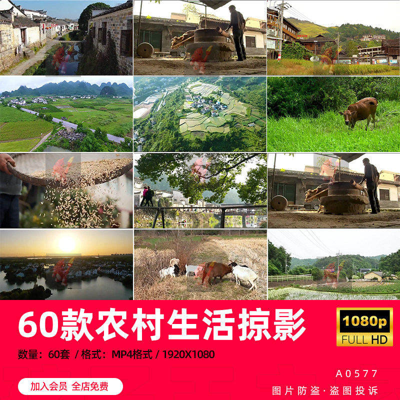 高清农村生活乡村田园农活农家小院村庄航拍美景色短视频剪辑素材