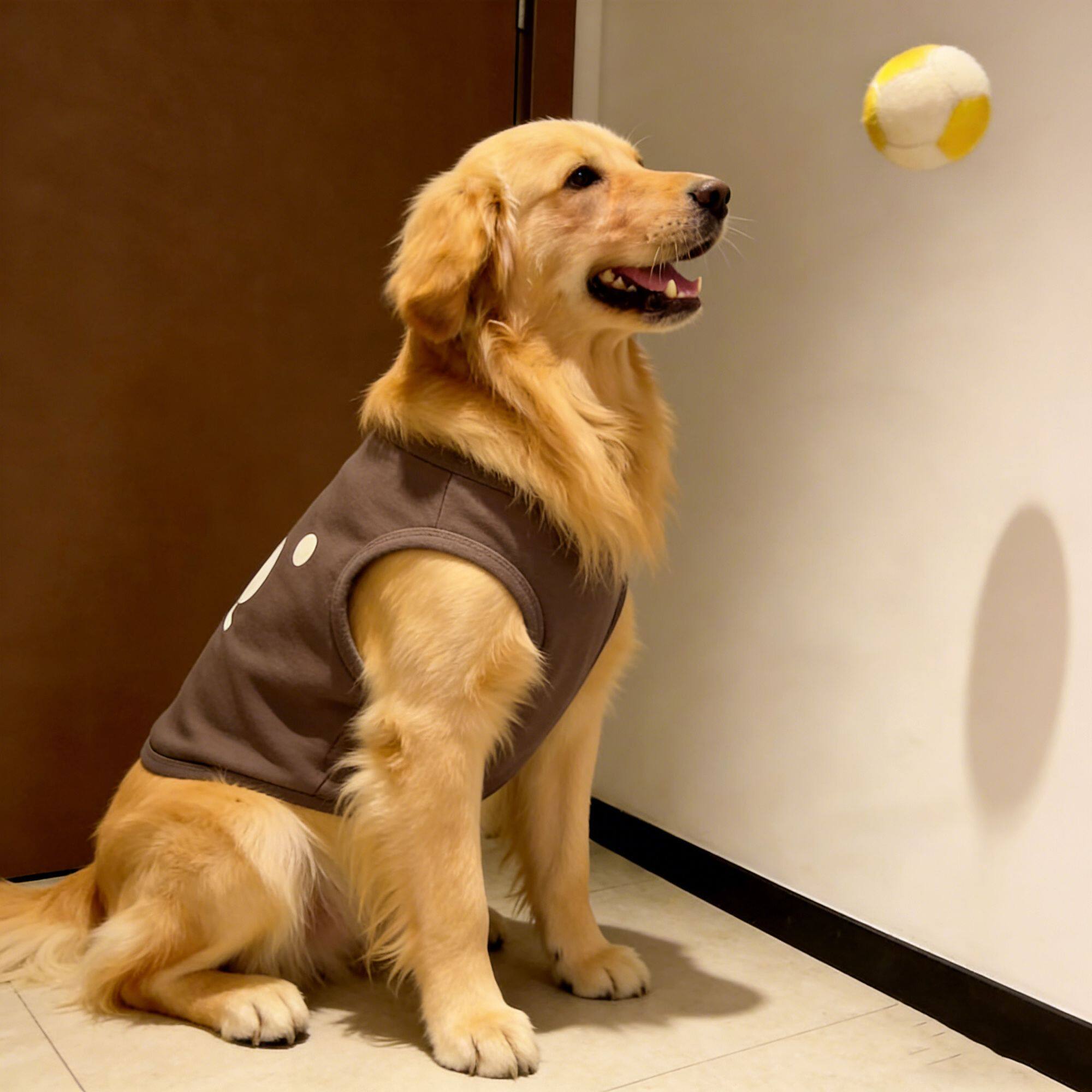 宠物狗狗衣服春秋款超萌咖色小熊印花亲肤背心大型犬金毛拉布拉多