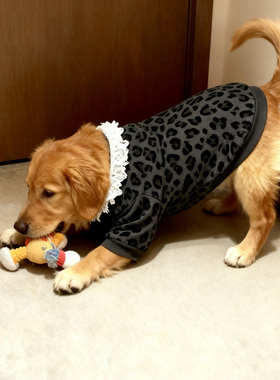 25狗狗新款衣服防冻黑灰豹纹白色领口秋冬两脚衣金毛萨摩保暖