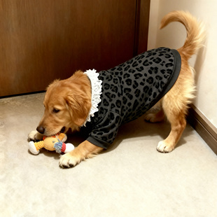 25狗狗新款 衣服防冻黑灰豹纹白色领口秋冬两脚衣金毛萨摩保暖