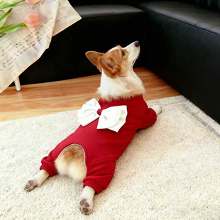 狗衣服冬季 饰宠物秋冬中型犬柯基法斗保暖四脚衣 红色大蝴蝶结装