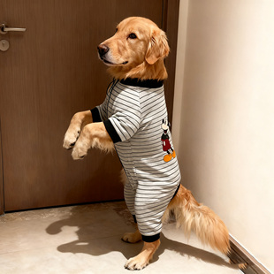 狗狗新款 米奇秋冬四脚衣大型犬金毛萨摩 衣服防冻灰黑条纹经典