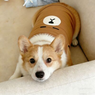 宠物狗狗衣服超萌睡不醒慵懒感熊仔亲肤背心中型犬柯基柴犬法斗