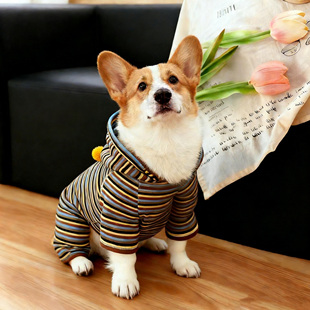 狗狗衣服连帽条纹宠物秋冬四脚衣防掉毛中型犬柯基柴犬法斗巴哥