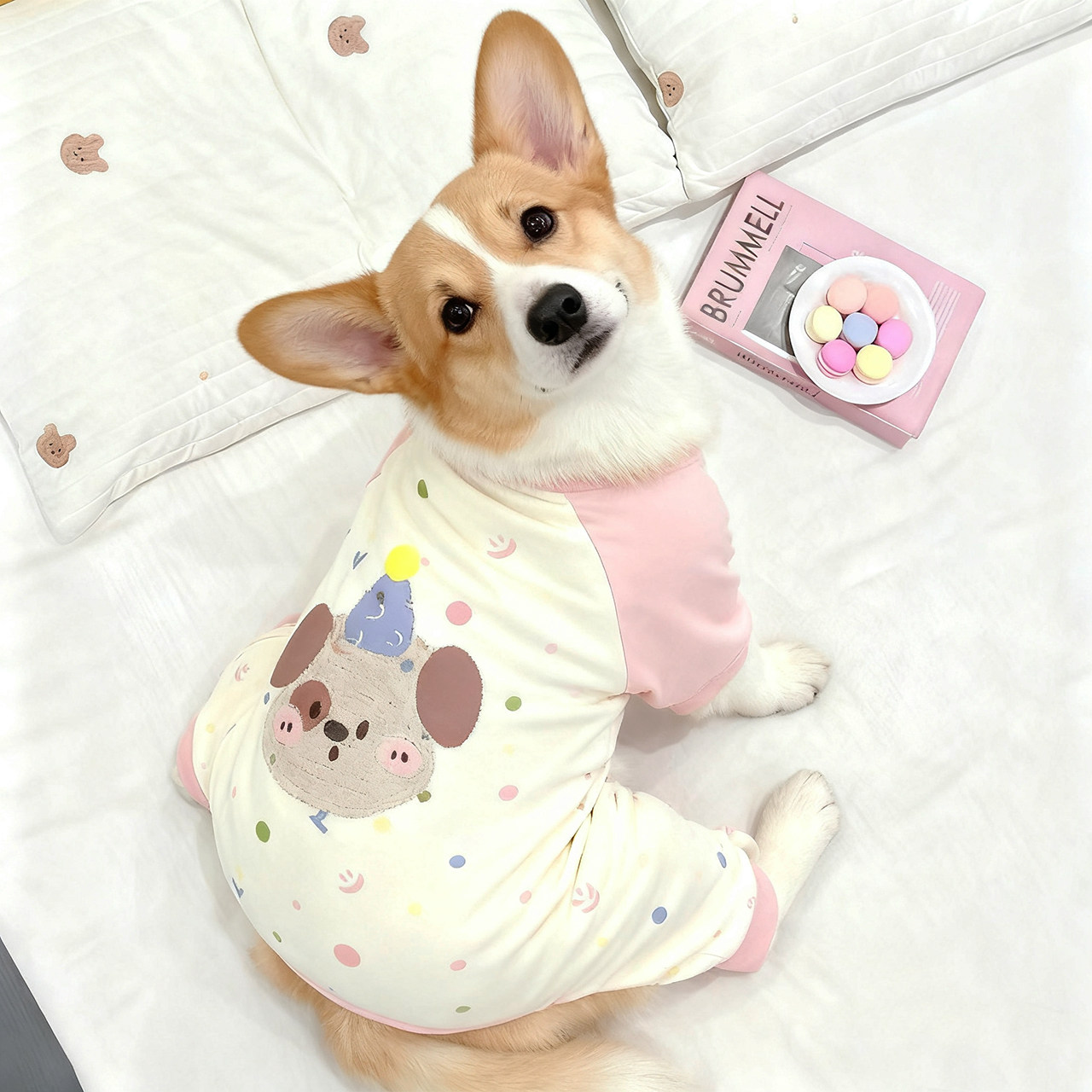 宠物秋冬卡通可爱舒适保暖狗狗四脚衣中型犬柯基柴犬法斗巴哥图片