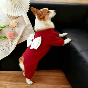 狗衣服冬季 饰宠物秋冬中型犬柯基法斗保暖四脚衣 红色大蝴蝶结装