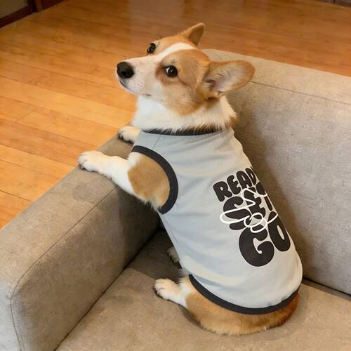 宠物狗狗衣服春夏款READY SET GO印花亲肤背心中型犬柯基柴犬法斗