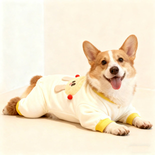 宠物秋冬可爱超萌卡通四脚衣立体图案舒适亲肤中型犬柯基柴犬法斗