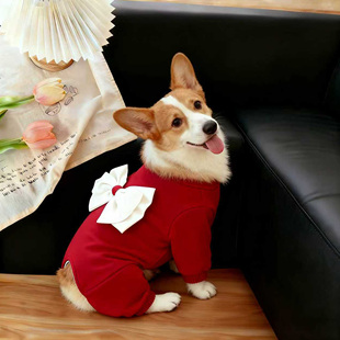 狗衣服冬季 饰宠物秋冬中型犬柯基法斗保暖四脚衣 红色大蝴蝶结装