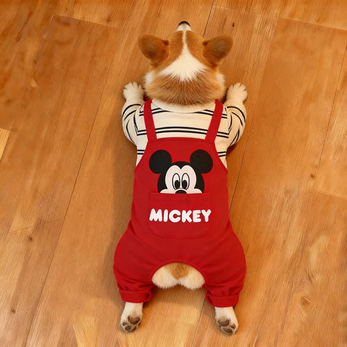 米奇红背带!秒变迪士尼在逃狗狗四脚衣中型犬柯基法斗柴犬巴哥