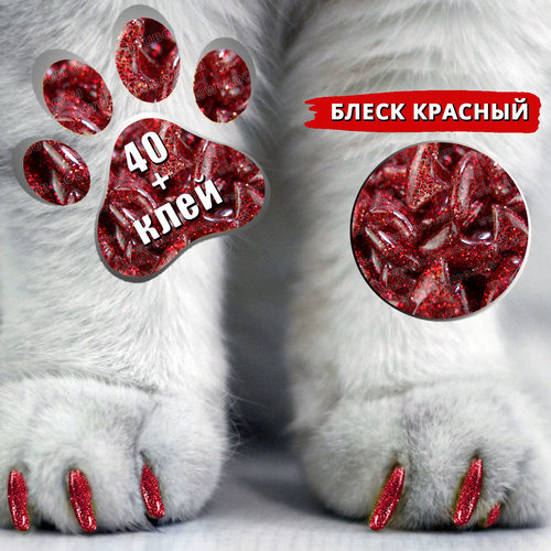 Cat Nail Caps 40粒宠物指甲套猫咪美甲爪套送胶水亚马逊TK TEMU