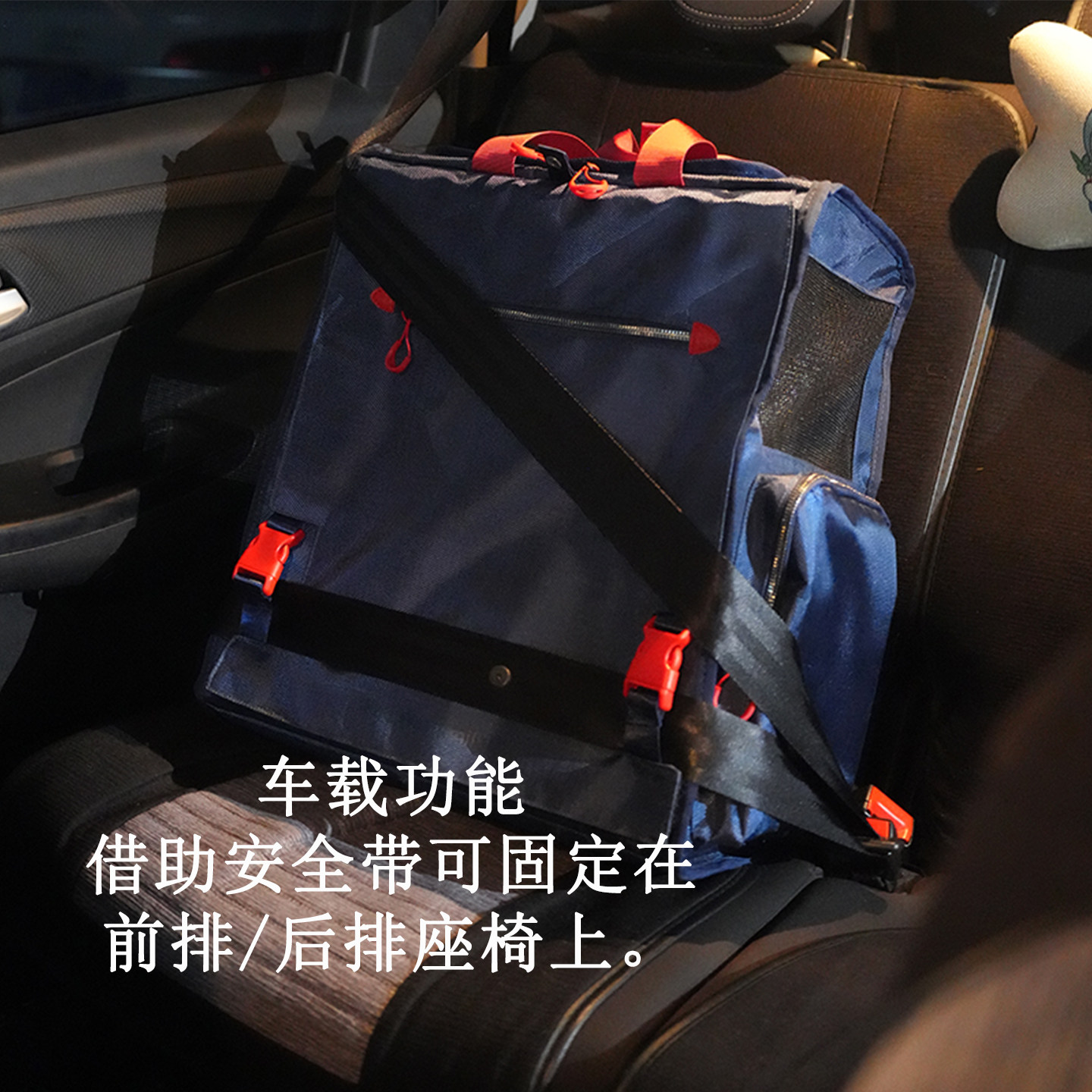 宠物外出车载双肩包布偶雪纳瑞