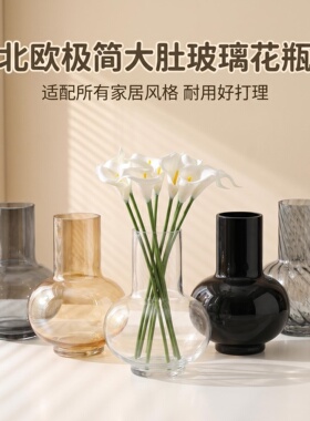 ins大肚花瓶插花摆件客厅高级感轻奢风透明玻璃花瓶水养鲜花装饰