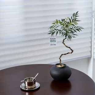 造型十大功劳绿植盆栽办公室内客厅阳台好养桌面植物净化空气