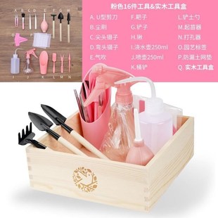 多肉植物种植工具套装种花养花肉肉多肉园艺工具家用小铲子三件套