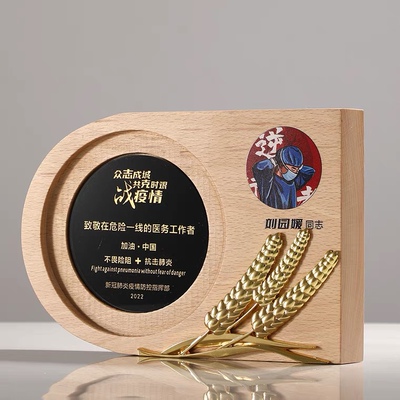 抗疫奖杯定制勋章奖牌纪念品医护先进工作者志愿者公益胸章授权牌