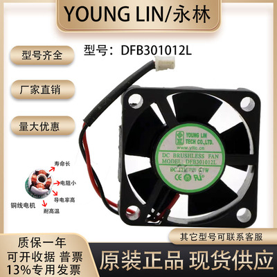 永林静音风扇DFB301012L