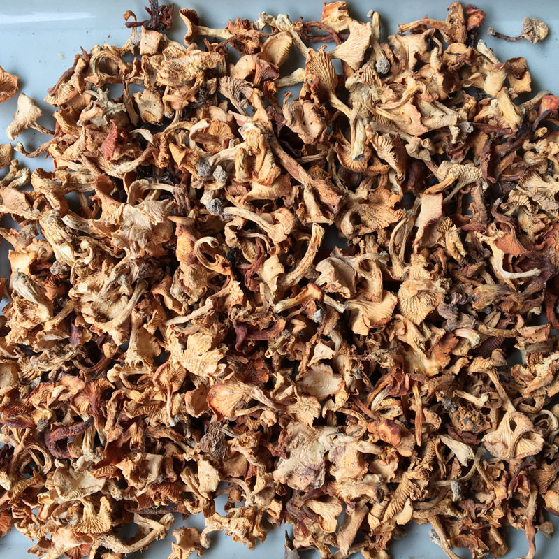 云南特产野生鸡油菌干货榆黄500g