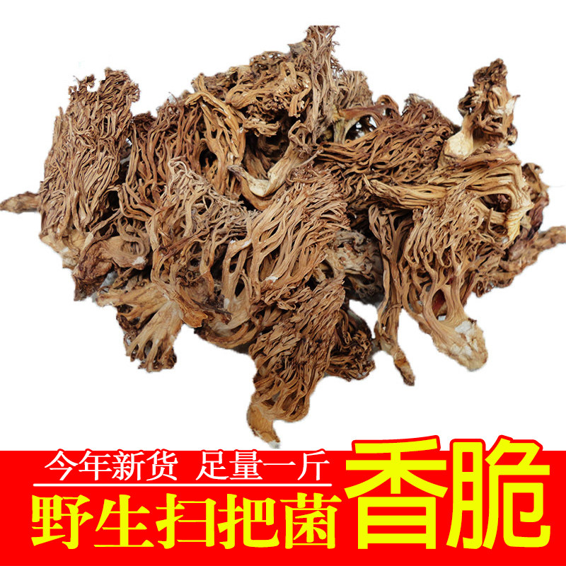 珊瑚菌野生刷把菌云南特产龙爪菇扫把菌干货500g鸡爪菌素食扫帚菌