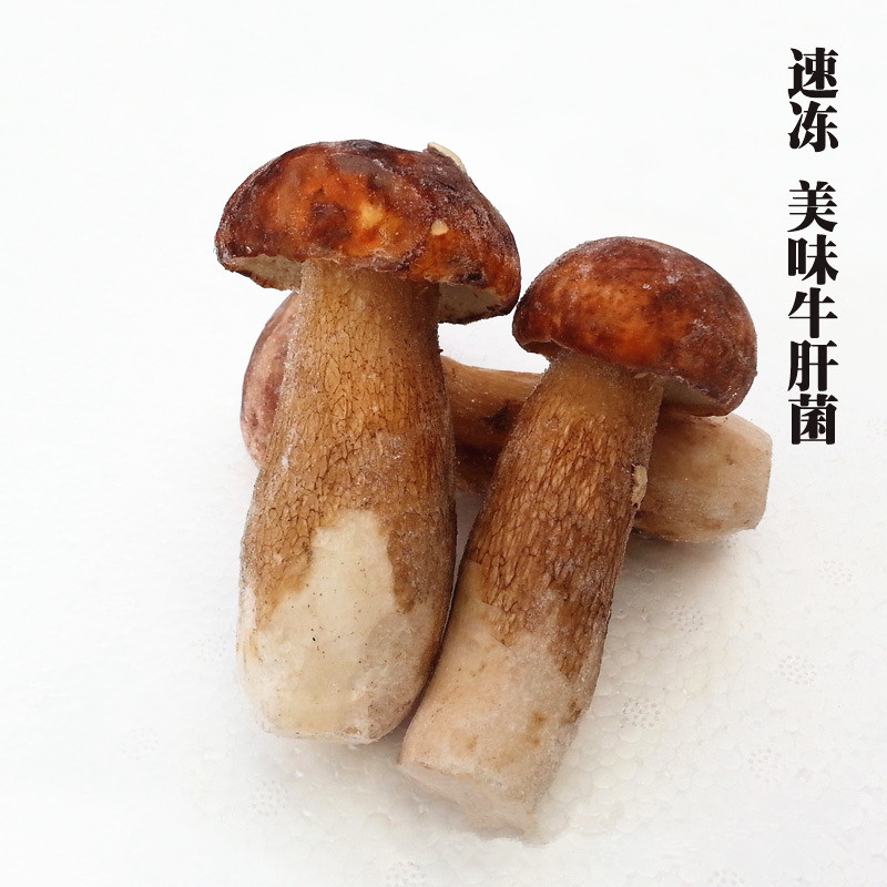 新鲜野生美味牛肝菌冰速冻蘑菇