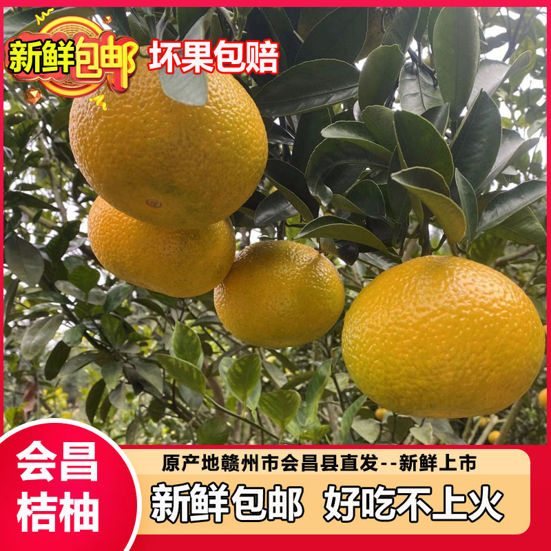 会昌甜桔柚水果庆元建阳橘柚新鲜
