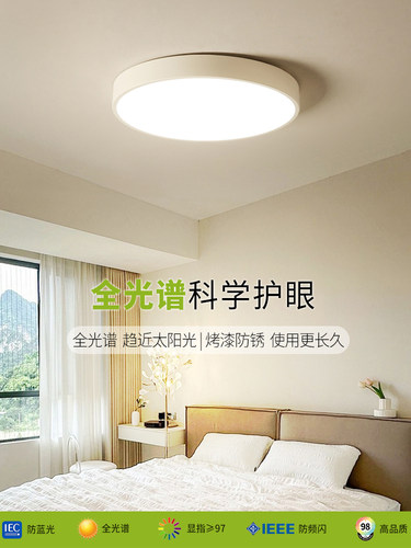 圆形卧室灯斯堪的纳维亚风格Led吸顶灯现代简单创意黑白书房灯房