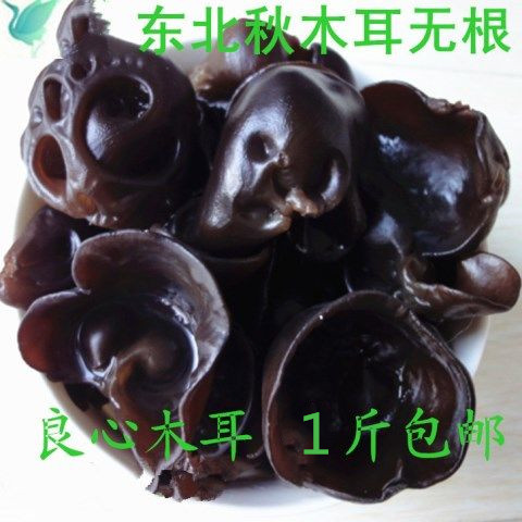 东北黑木耳 秋木耳  小碗耳 椴木秋木耳  500克包邮 2023新货