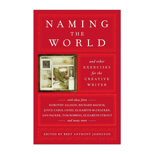 英文原版 Naming the World 命名世界 创造性作家的其他练习 写作技巧指南 Bret Anthony Johnston 英文版 进口英语原版书籍