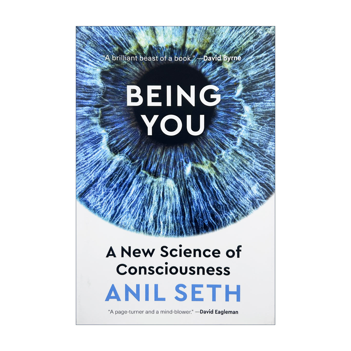 英文原版 Being You 意识机器 成为你自己 人类意识的新科学 阿尼尔·赛斯 精装 英文版 进口英语原版书籍