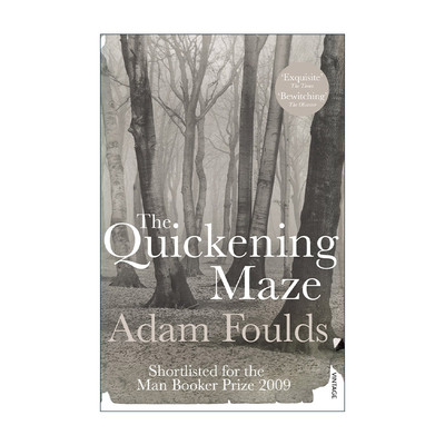 英文原版 The Quickening Maze 不断深陷的迷惘 亚当·福尔兹历史小说 布克奖提名 英文版 进口英语原版书籍