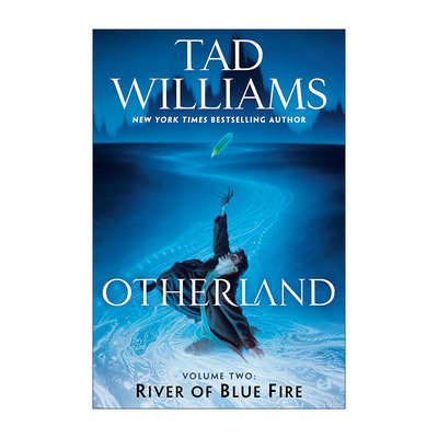英文原版 Otherland 2 River of Blue Fire 异域系列2 蓝火之河 回忆 悲伤与荆棘作者Tad Williams泰德·威廉姆斯 英文版