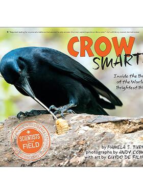 英文原版 Crow Smarts 聪慧的乌鸦 聪明鸟的大脑 动物纪实科普 号角杂志书单 银行街年度童书佳选 英文版 进口英语原版书籍