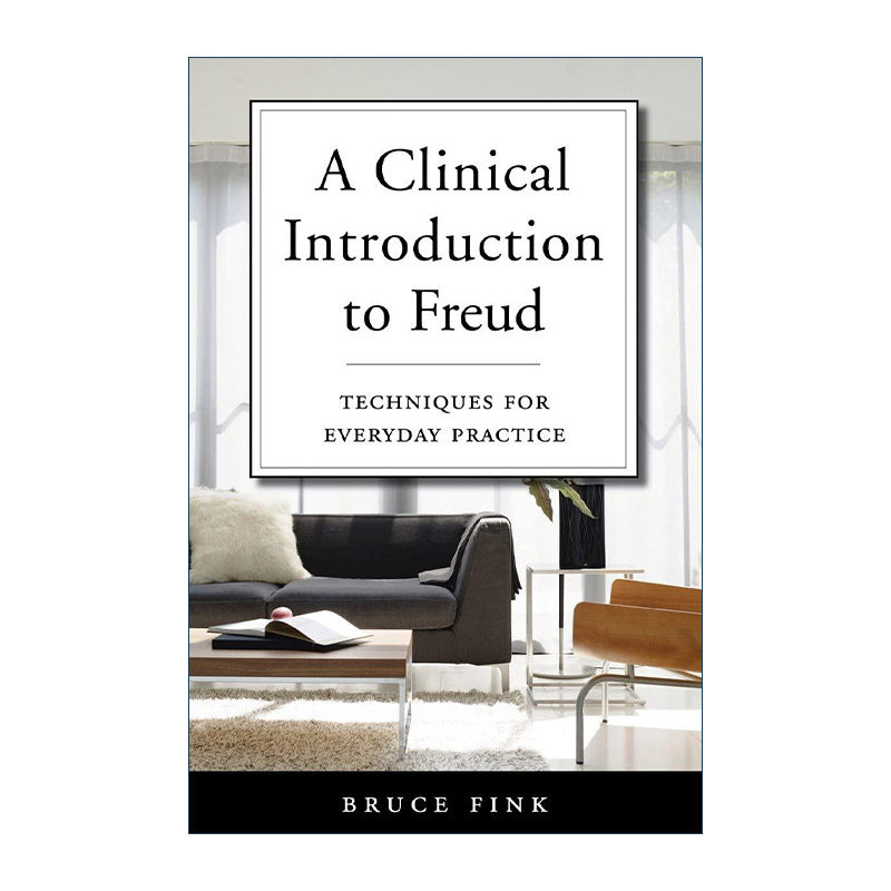 英文原版 A Clinical Introduction to Freud 弗洛伊德临床导论 日常练习技巧 心理学 精神疗法 Bruce Fink 精装 进口英语原版书籍