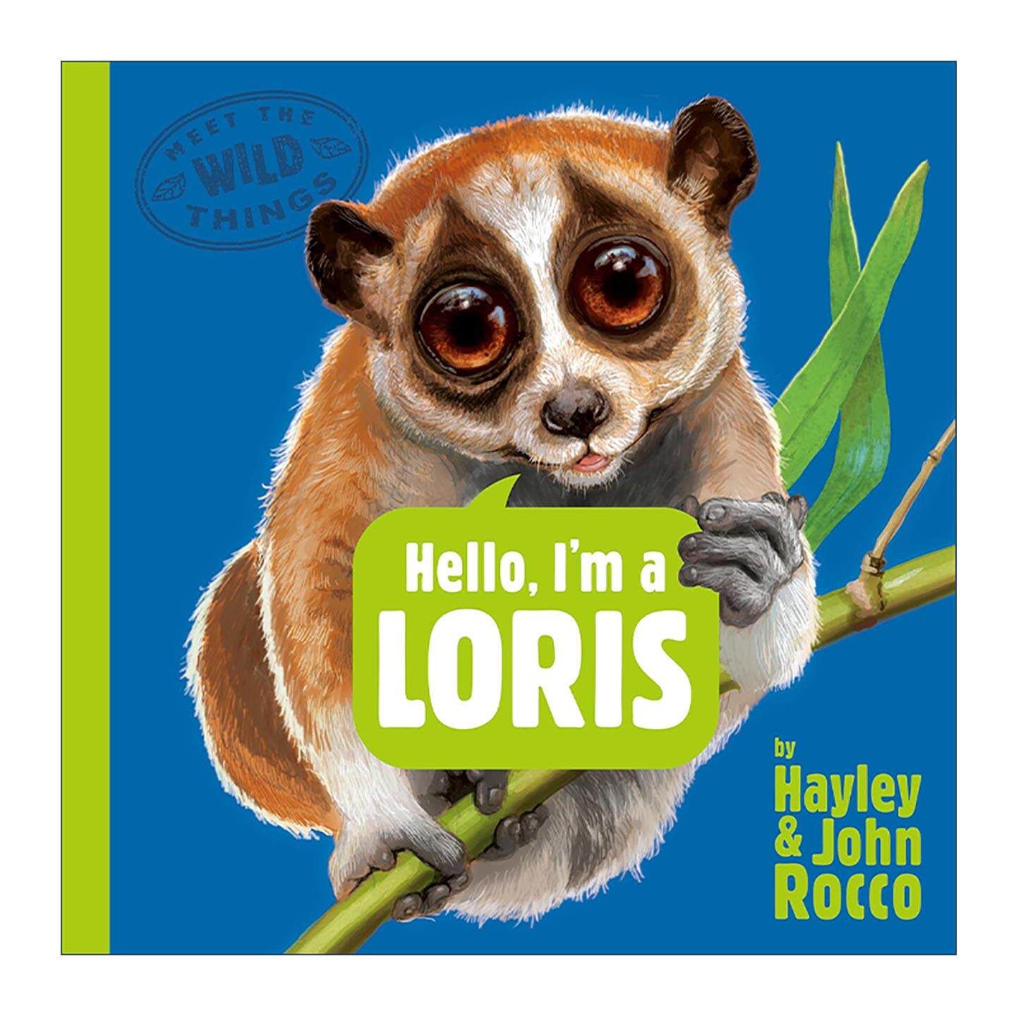 英文原版 Hello  I'm a Loris Meet the Wild Things 06 你好 我是懒猴 遇见野生动物系列6 儿童精装科普百科绘本 凯迪克银奖得主