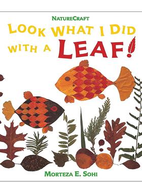 英文原版 Look What I Did with a Leaf 儿童创意树叶艺术指南 儿童创意手工绘本 Morteza E. Sohi 英文版 进口英语原版书籍