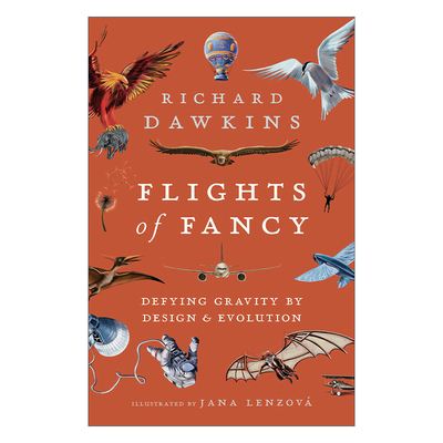 Flights of Fancy 你想像鸟一样飞吗 一座关于飞行的纸上博物馆 理查德·道金斯进口原版英文书籍