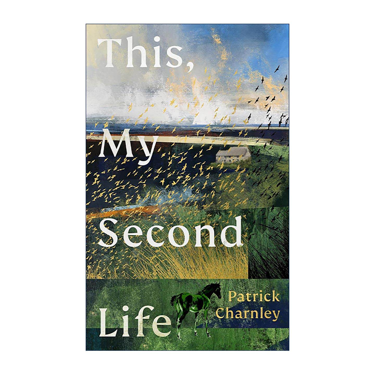 英文原版 This My Second Life 我的第二次人生 温情文学小说 精装 创伤后重建人生 Patrick Charnley 英文版 进口英语原版书籍