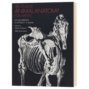 An Atlas of Animal Anatomy for Artists 艺用动物解剖图谱进口英文原版书籍